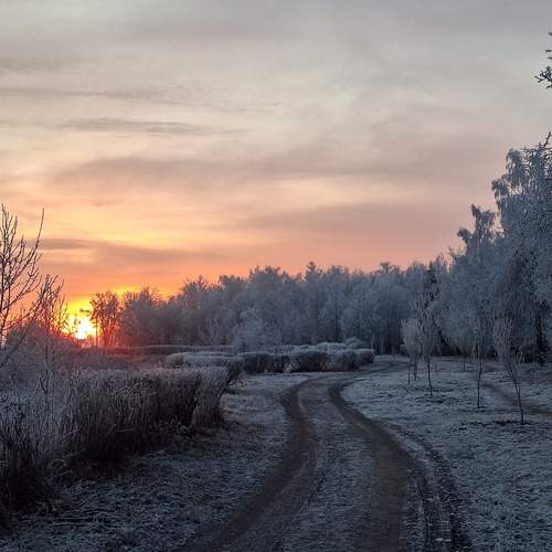 Photo #11848732