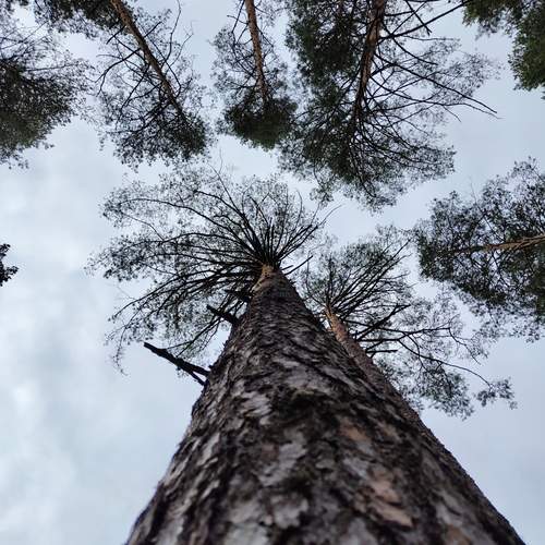 Photo #11848939