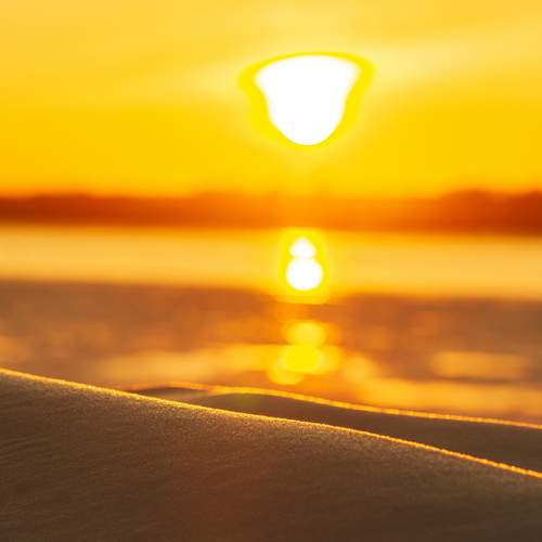 Photo #11849068