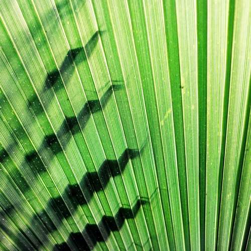 Photo #11849181