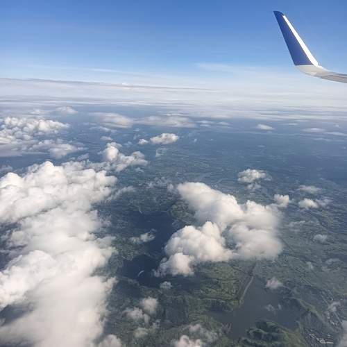 Photo #11849184