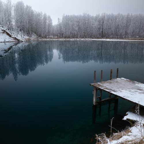 Photo #11849627