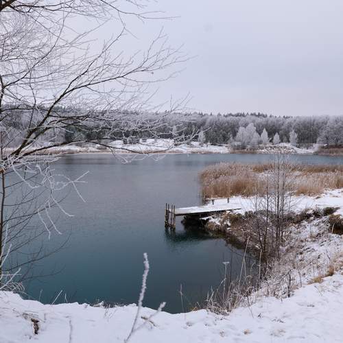 Photo #11849629