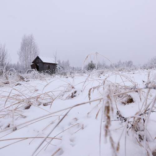 Photo #11849634
