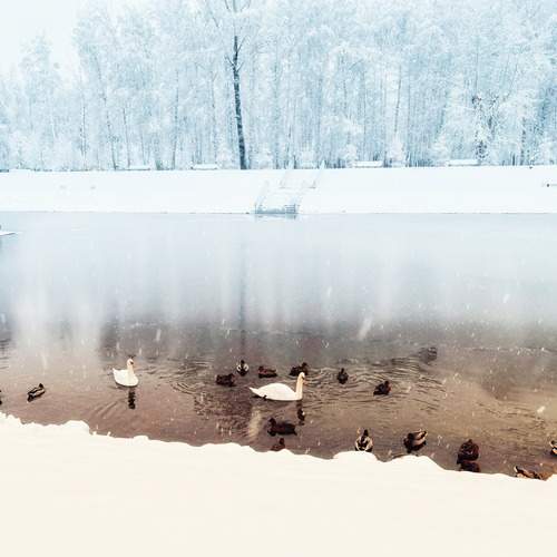 Photo #11849745