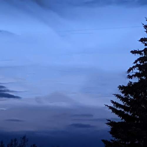 Photo #11849775
