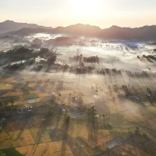 Morning in the mount Semeru.