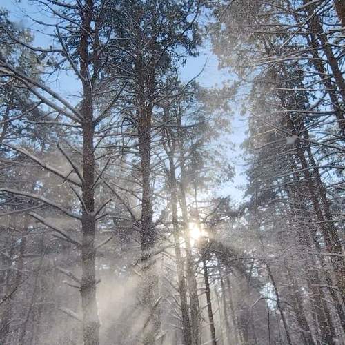 Photo #11849784