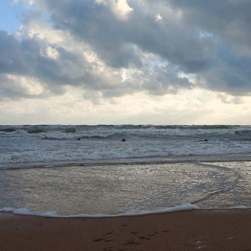 Photo #11849884