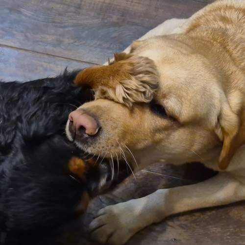 Photo #11849930