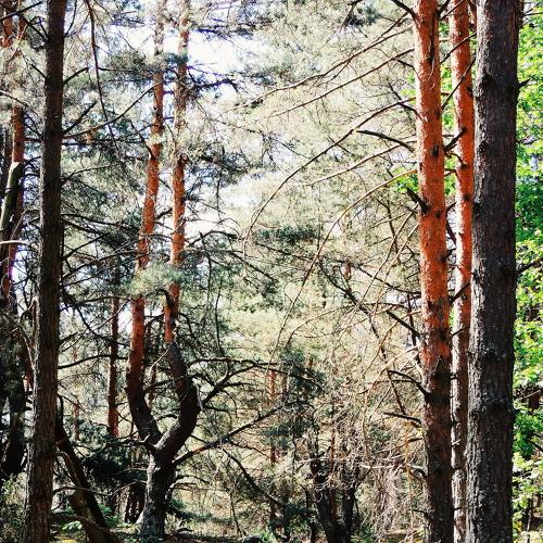Photo #1185891