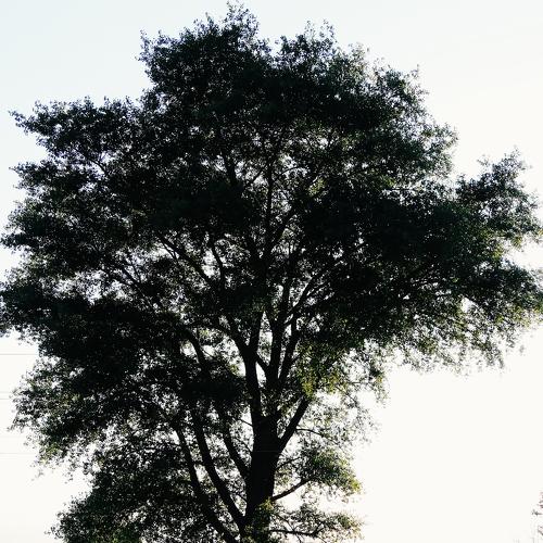 Photo #1185906