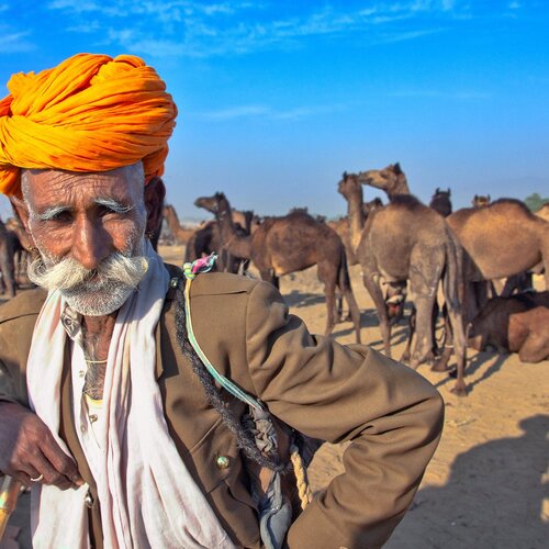 Camel Fair