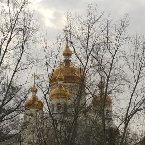 Photo #1186857