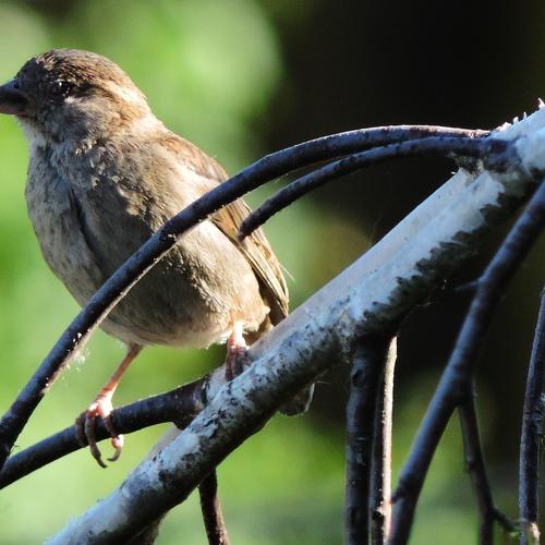Photo #1187275