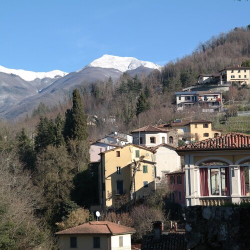Photo #1187878