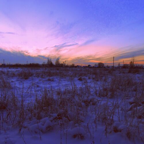 Photo #1189506
