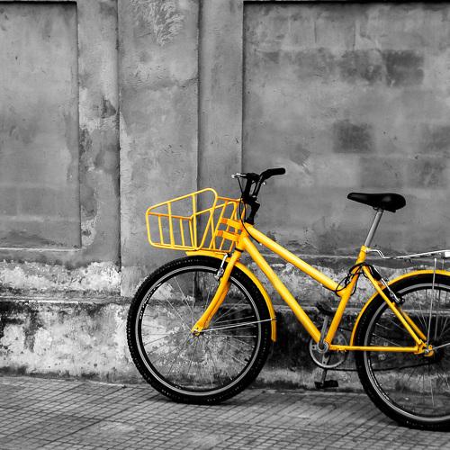 Bicicleta Amarela / Yellow Bike