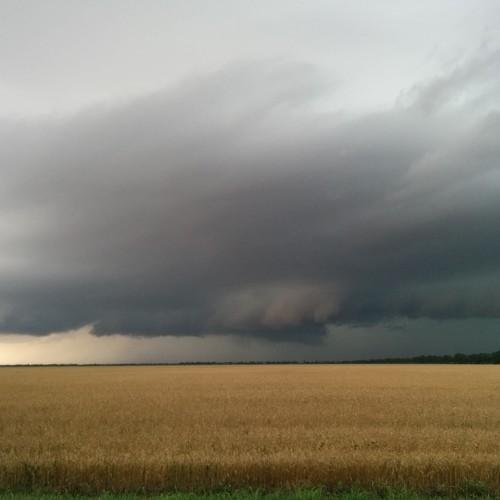 Photo #1189853