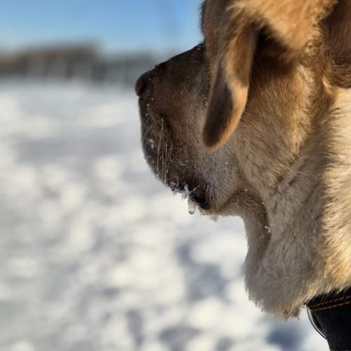 Photo #11850031