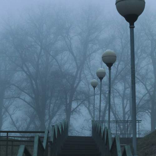 Photo #11850045