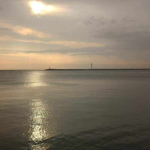 Photo #11850052