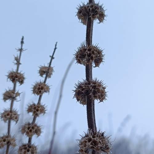 Photo #11850071