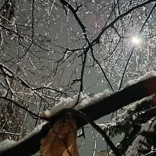 Photo #11850072