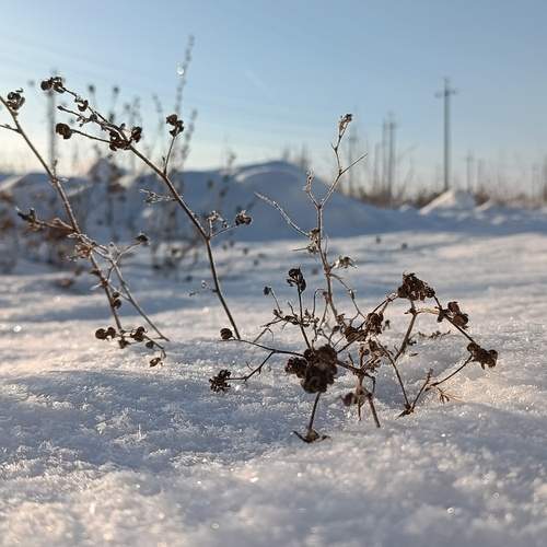 Photo #11850073