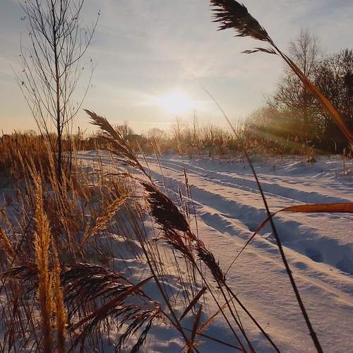 Photo #11850196