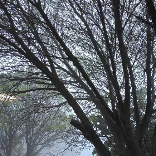 Photo #11850357