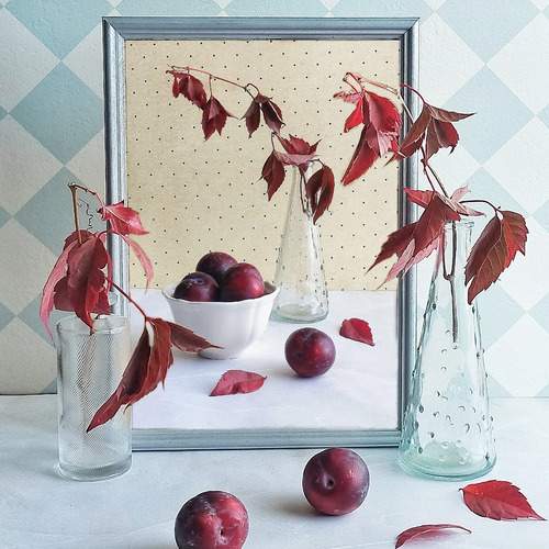 Photo #11850464