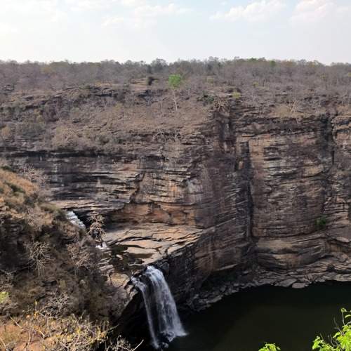 Photo #11850612