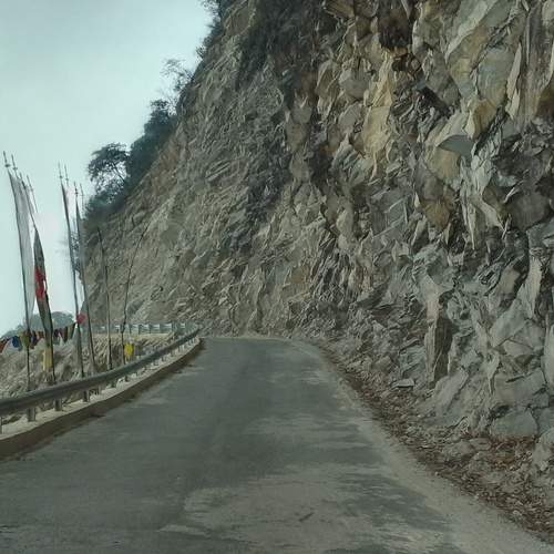 Photo #11850712