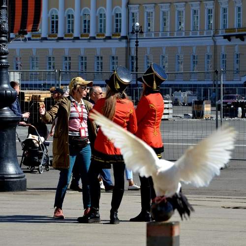 Санкт - Петербург