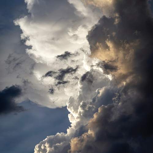 Photo #11850767