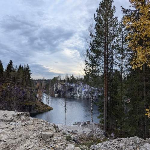 Photo #11850812