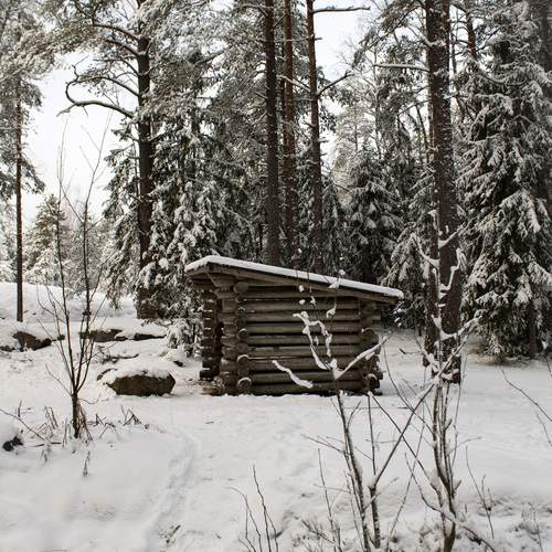 Photo #11850816