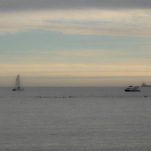 Photo #11850868