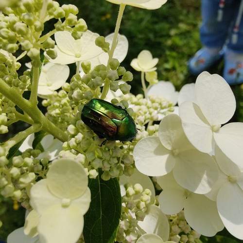 Photo #11850883