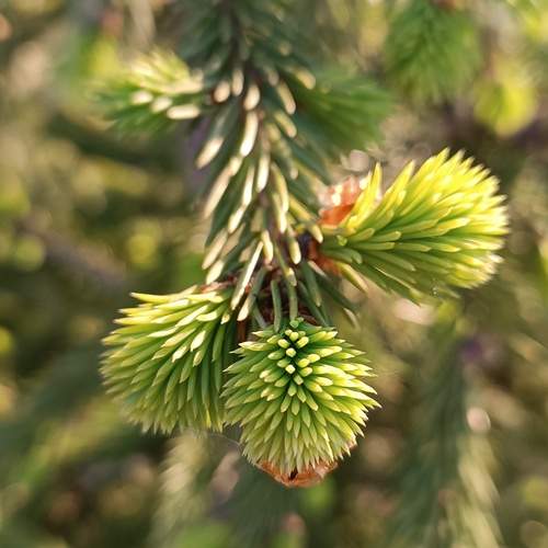 Photo #11850900