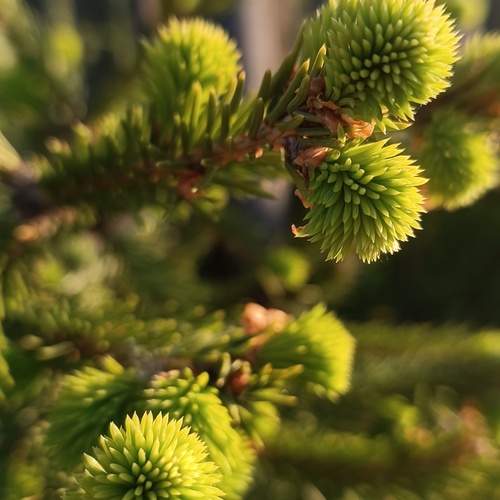 Photo #11850901