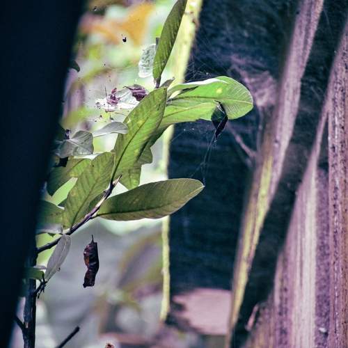 Photo #11851052