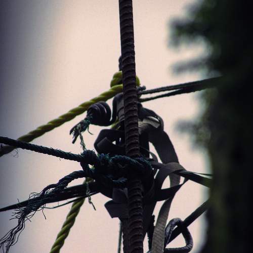 Photo #11851143