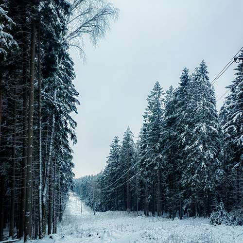 Photo #11851893