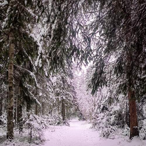Photo #11851895