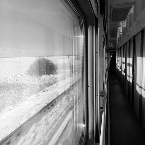 Photo #11851904