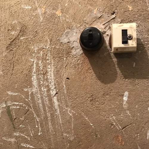 Photo #11851913