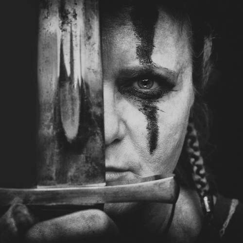 The Danish Viking