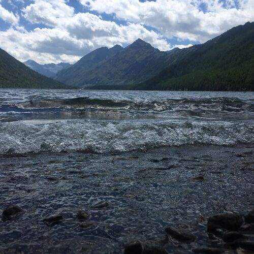 Photo #11851982